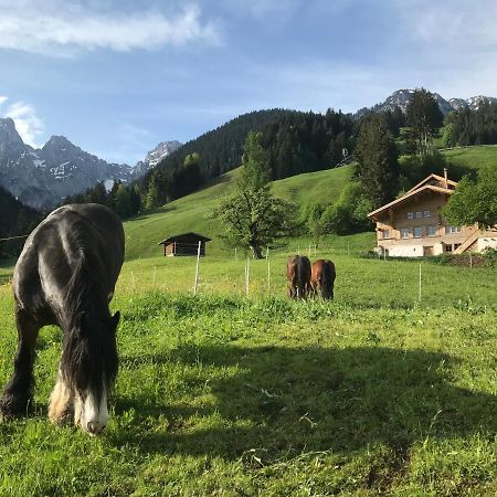 Bed and Breakfast Au Pre Des Chevaux Chateau-d'Oex Exterior foto