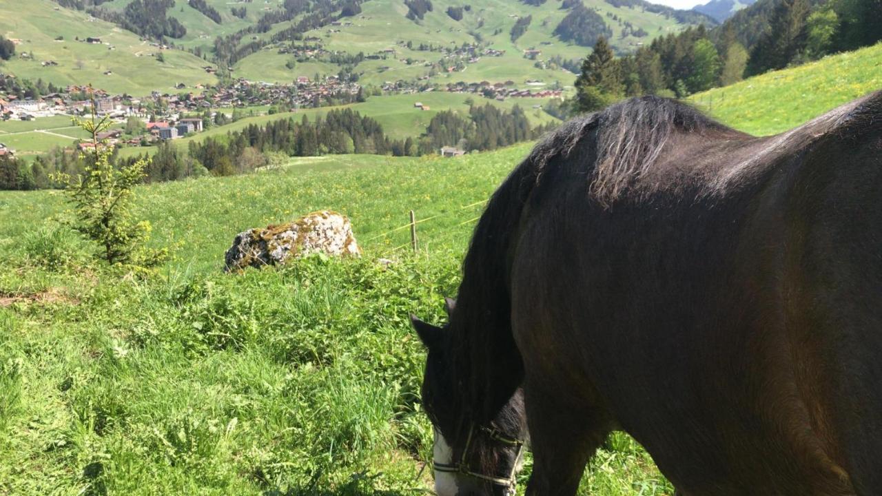 Bed and Breakfast Au Pre Des Chevaux Chateau-d'Oex Exterior foto