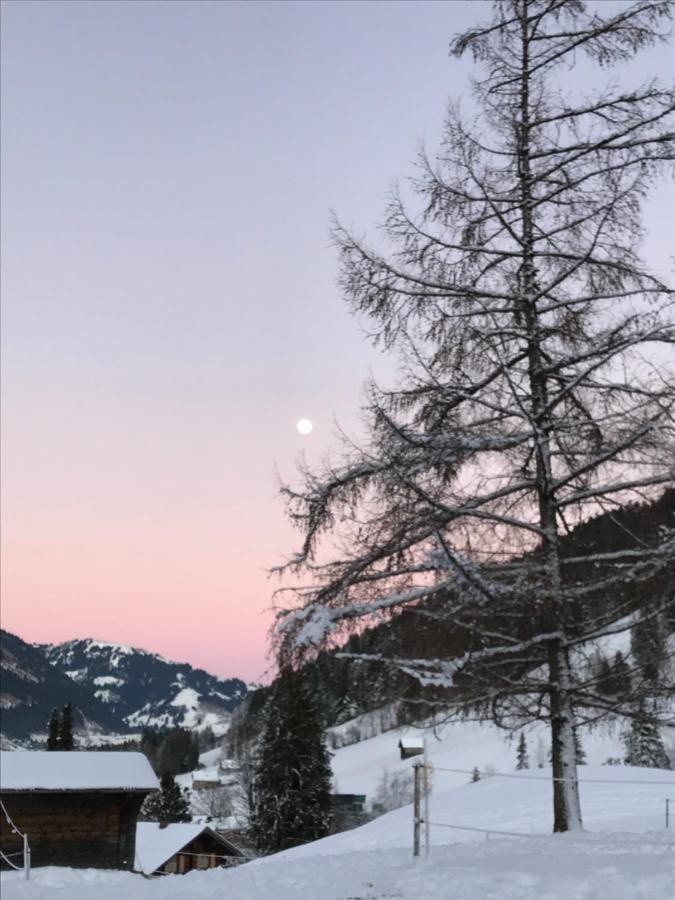 Bed and Breakfast Au Pre Des Chevaux Chateau-d'Oex Exterior foto