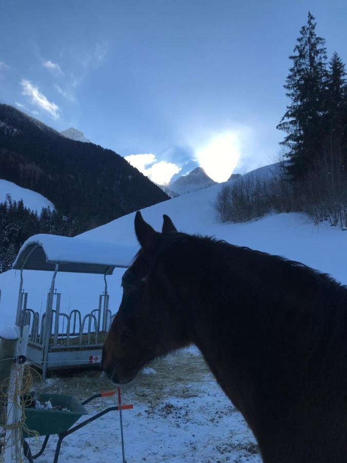 Bed and Breakfast Au Pre Des Chevaux Chateau-d'Oex Exterior foto