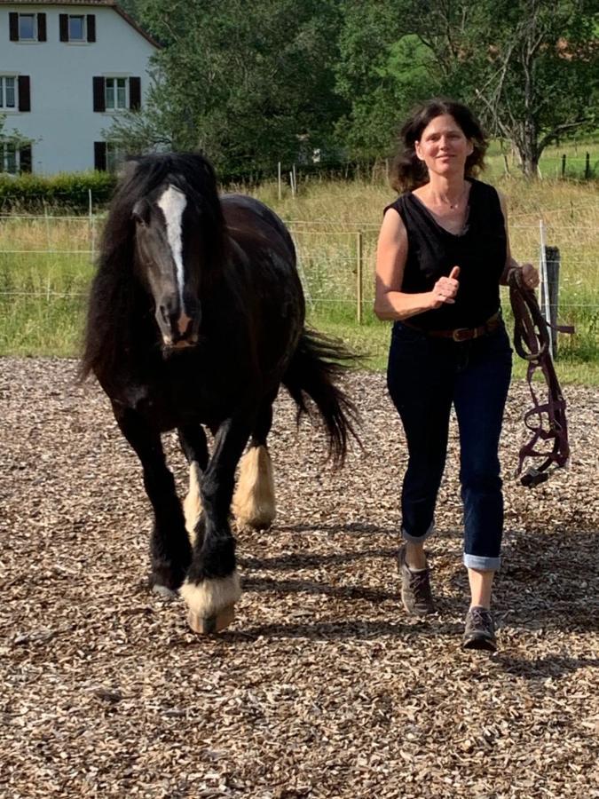 Bed and Breakfast Au Pre Des Chevaux Chateau-d'Oex Exterior foto