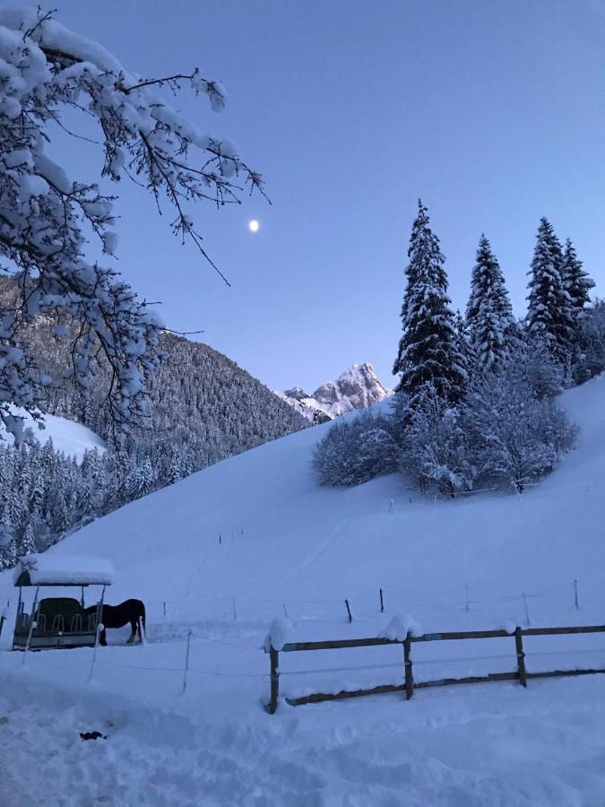 Bed and Breakfast Au Pre Des Chevaux Chateau-d'Oex Exterior foto