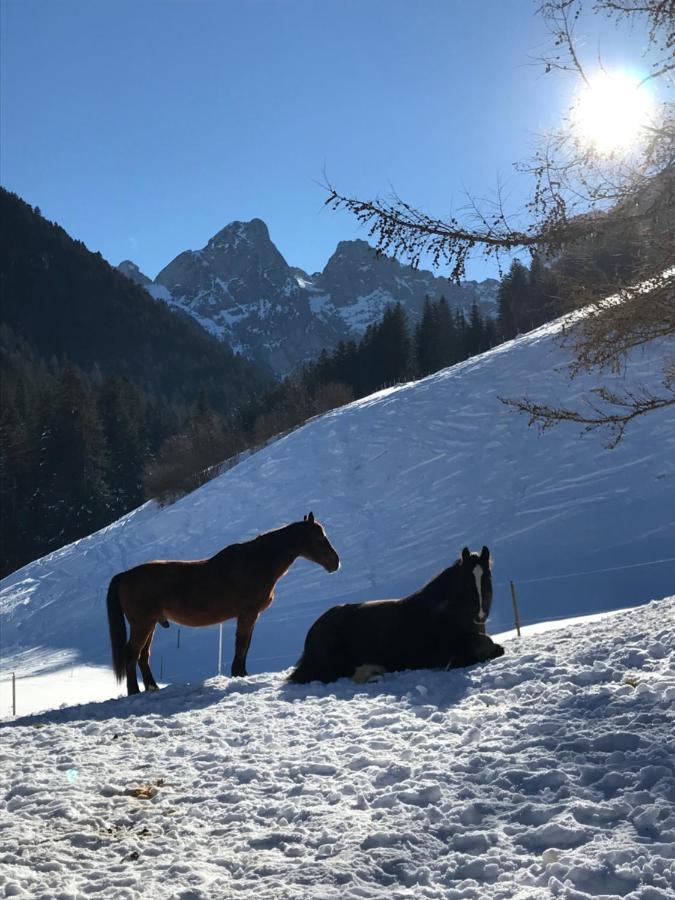 Bed and Breakfast Au Pre Des Chevaux Chateau-d'Oex Exterior foto