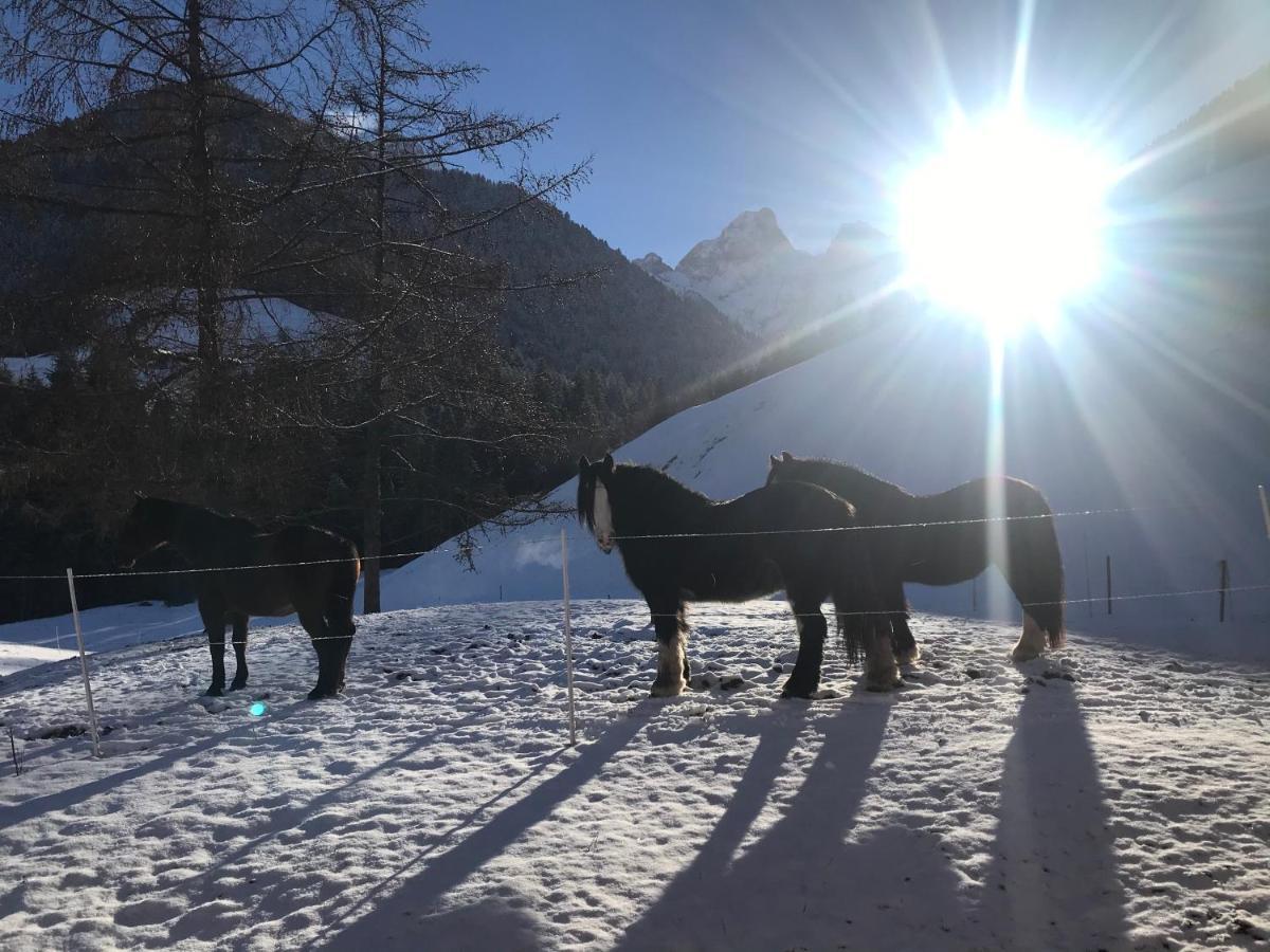 Bed and Breakfast Au Pre Des Chevaux Chateau-d'Oex Exterior foto