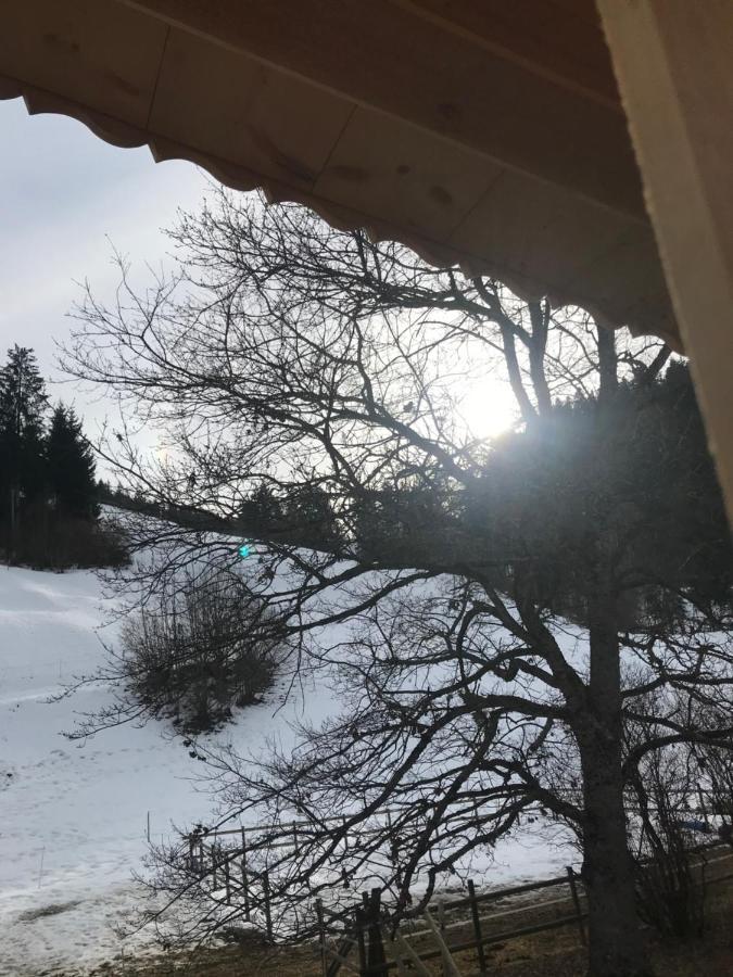 Bed and Breakfast Au Pre Des Chevaux Chateau-d'Oex Exterior foto