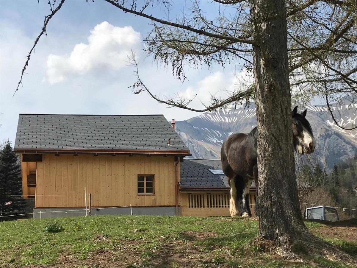 Bed and Breakfast Au Pre Des Chevaux Chateau-d'Oex Exterior foto