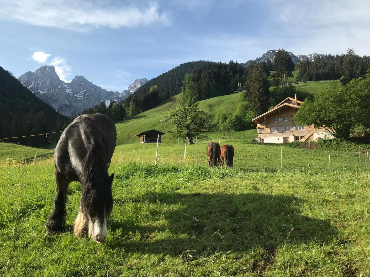 Bed and Breakfast Au Pre Des Chevaux Chateau-d'Oex Exterior foto